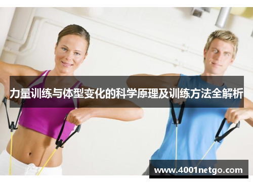 力量训练与体型变化的科学原理及训练方法全解析
