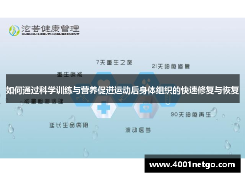如何通过科学训练与营养促进运动后身体组织的快速修复与恢复